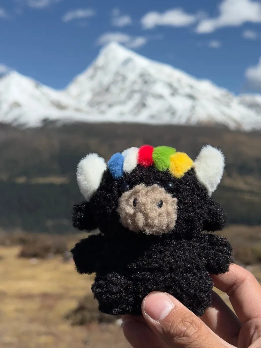 Tashi held up by hand in front of a towering snow peak under a bright blue sky — 雪山前手持的扎西