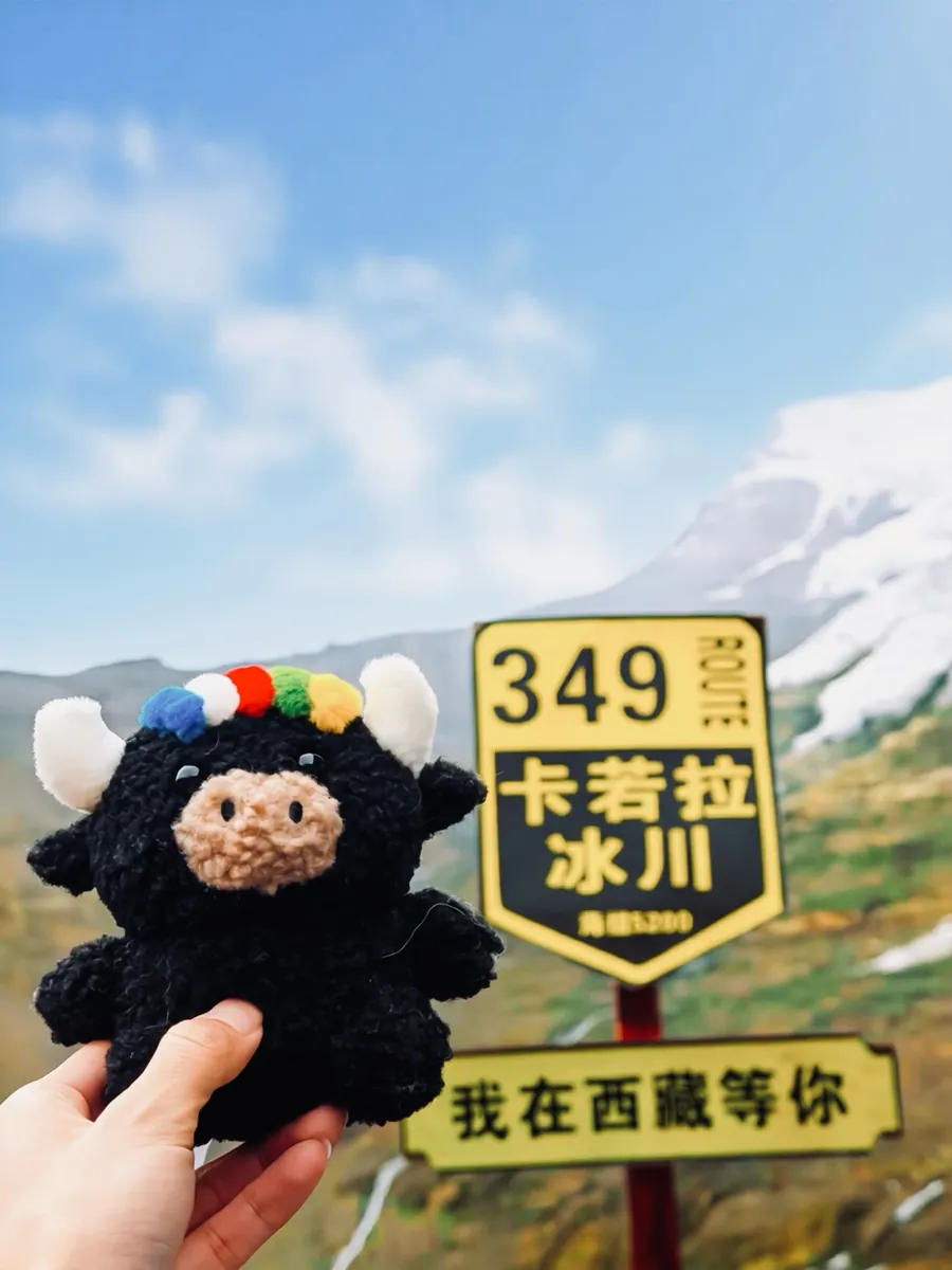 Tashi held up beside the Route 349 sign at the Karola Glacier — 卡若拉冰川路牌旁的扎西